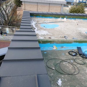 latest image